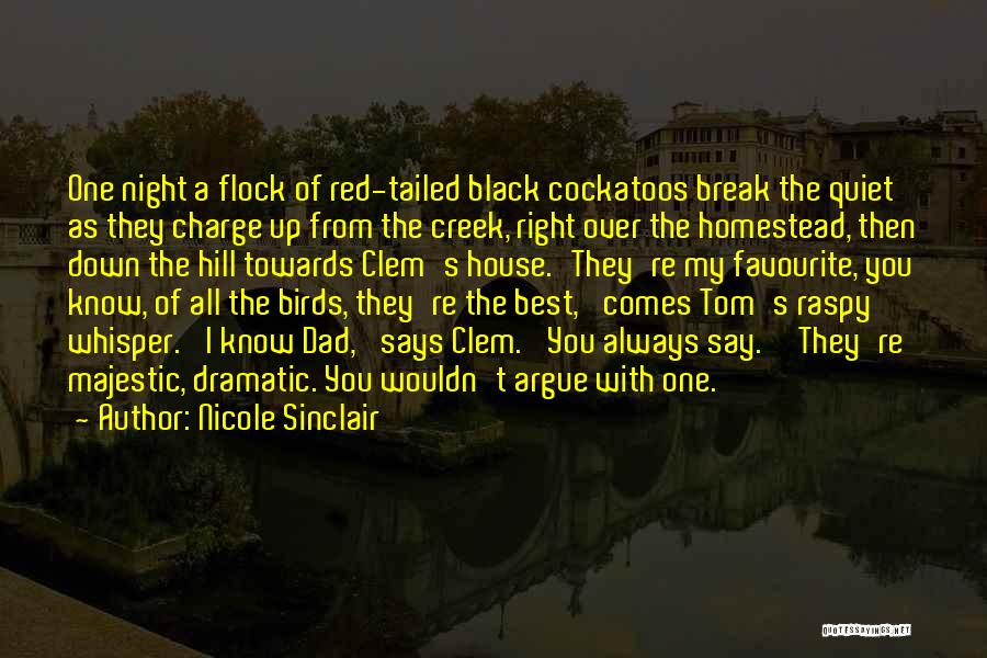 A Quiet Night Quotes By Nicole Sinclair