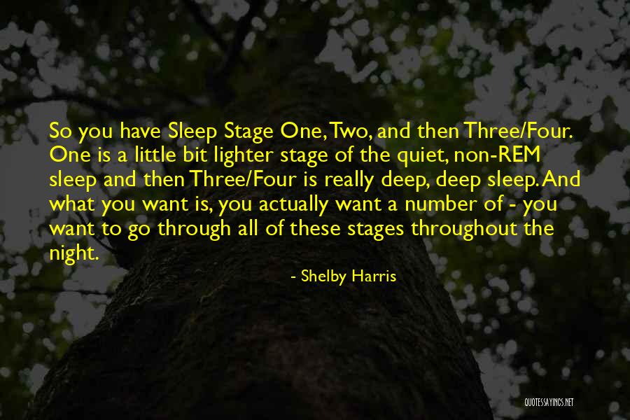 A Quiet Night Quotes By Shelby Harris