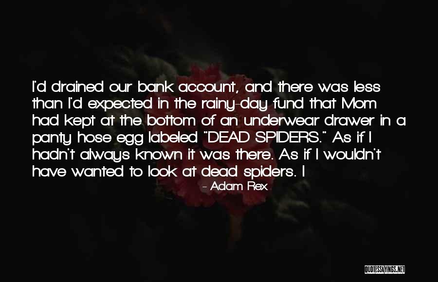 A Rainy Day Quotes By Adam Rex A Rainy Day Quotes By Adam Rex