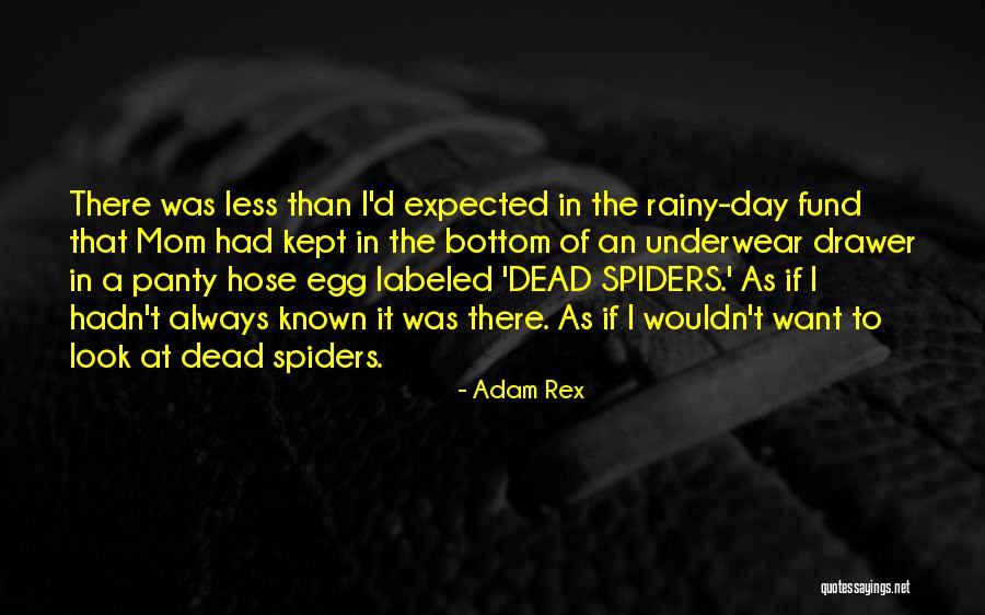 A Rainy Day Quotes By Adam Rex A Rainy Day Quotes By Adam Rex