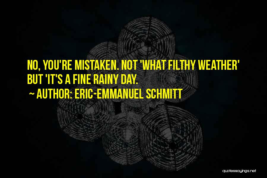 A Rainy Day Quotes By Eric-Emmanuel Schmitt
