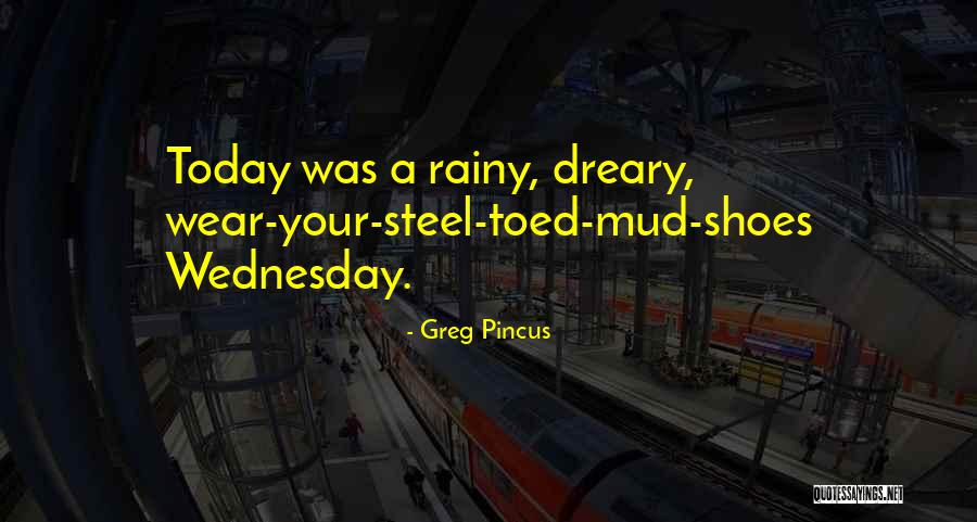 A Rainy Day Quotes By Greg Pincus