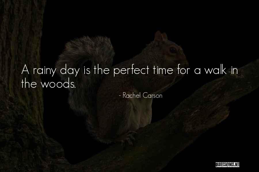 A Rainy Day Quotes By Rachel Carson