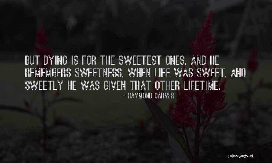 A Raisin In The Sun Lorraine Hansberry Quotes By Raymond Carver A Raisin In The Sun Lorraine Hansberry Quotes By Raymond Carver