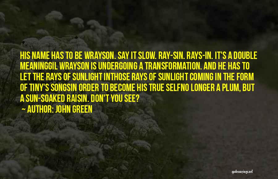 A Raisin In The Sun Quotes By John Green