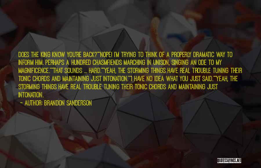 A Real King Quotes By Brandon Sanderson