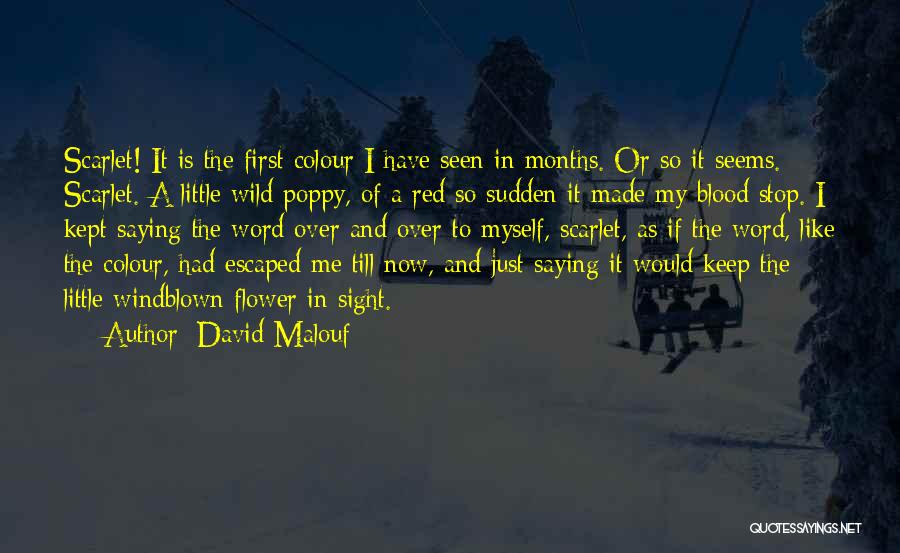 A Red Flower Quotes By David Malouf