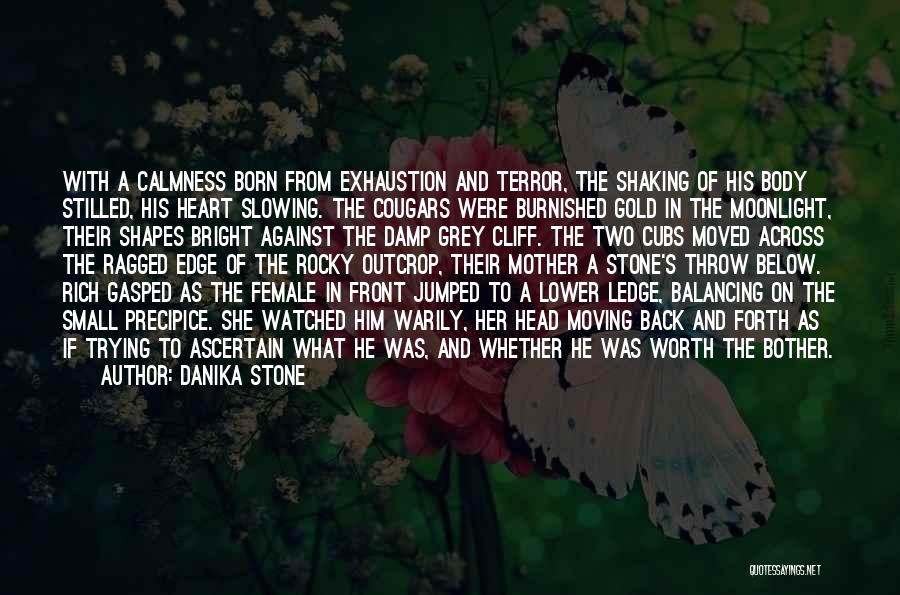 A Rich Heart Quotes By Danika Stone