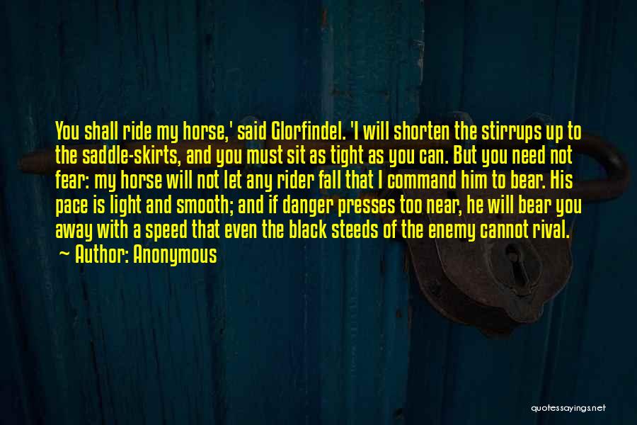 A Rider Quotes By Anonymous