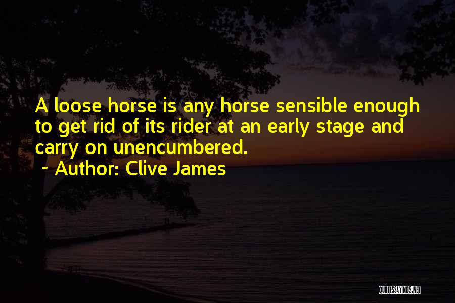 A Rider Quotes By Clive James