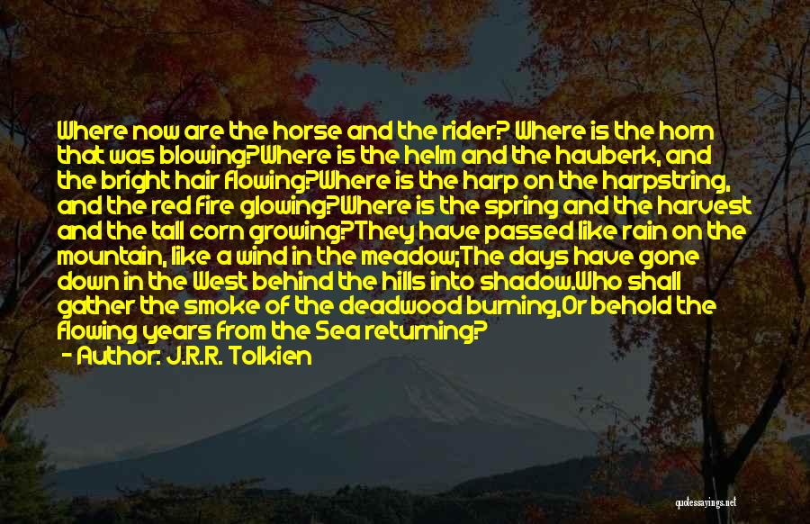 A Rider Quotes By J.R.R. Tolkien