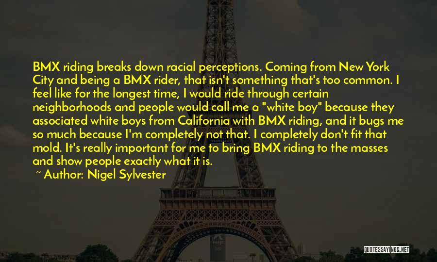 A Rider Quotes By Nigel Sylvester