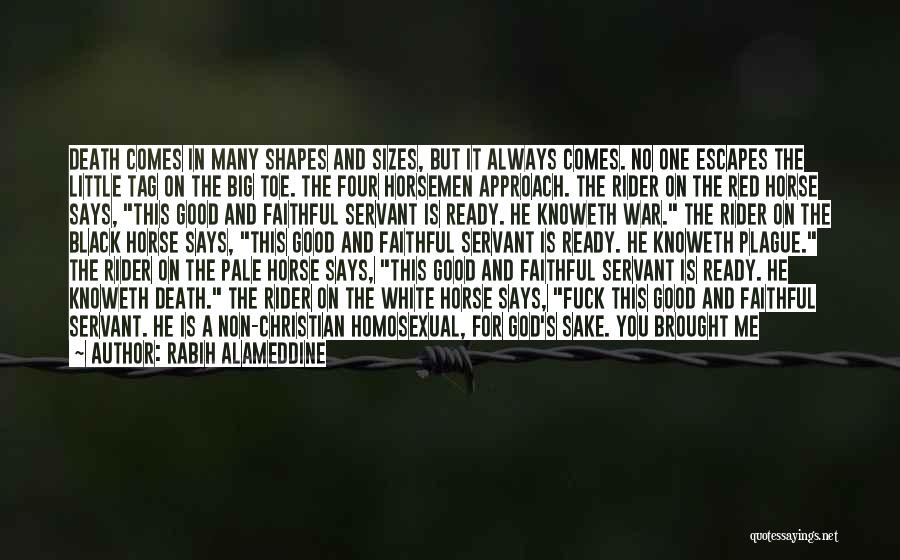 A Rider Quotes By Rabih Alameddine