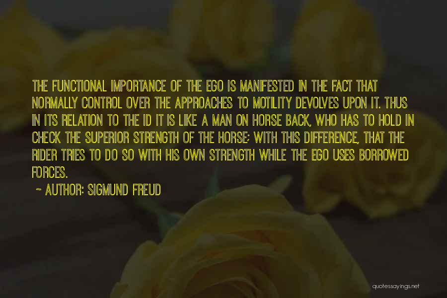 A Rider Quotes By Sigmund Freud