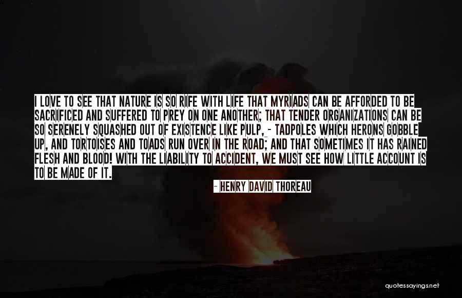 A Road Accident Quotes By Henry David Thoreau A Road Accident Quotes By Henry David Thoreau
