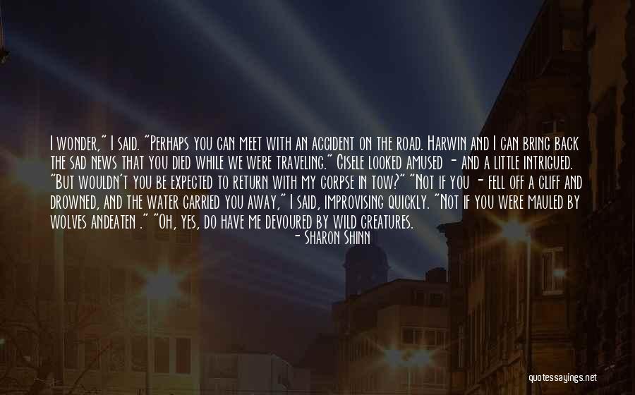 A Road Accident Quotes By Sharon Shinn A Road Accident Quotes By Sharon Shinn