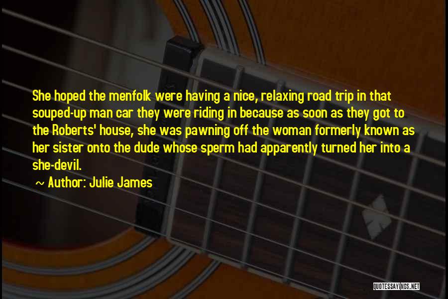 A Road Trip Quotes By Julie James