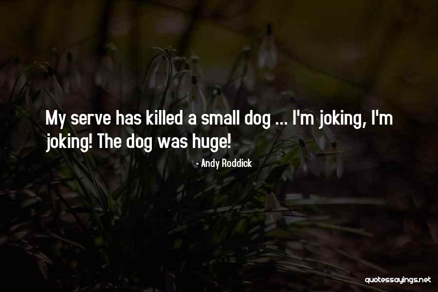 A Roddick Quotes By Andy Roddick A Roddick Quotes By Andy Roddick