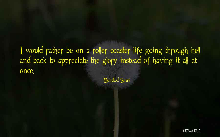 A Roller Coaster Life Quotes By Behdad Sami A Roller Coaster Life Quotes By Behdad Sami