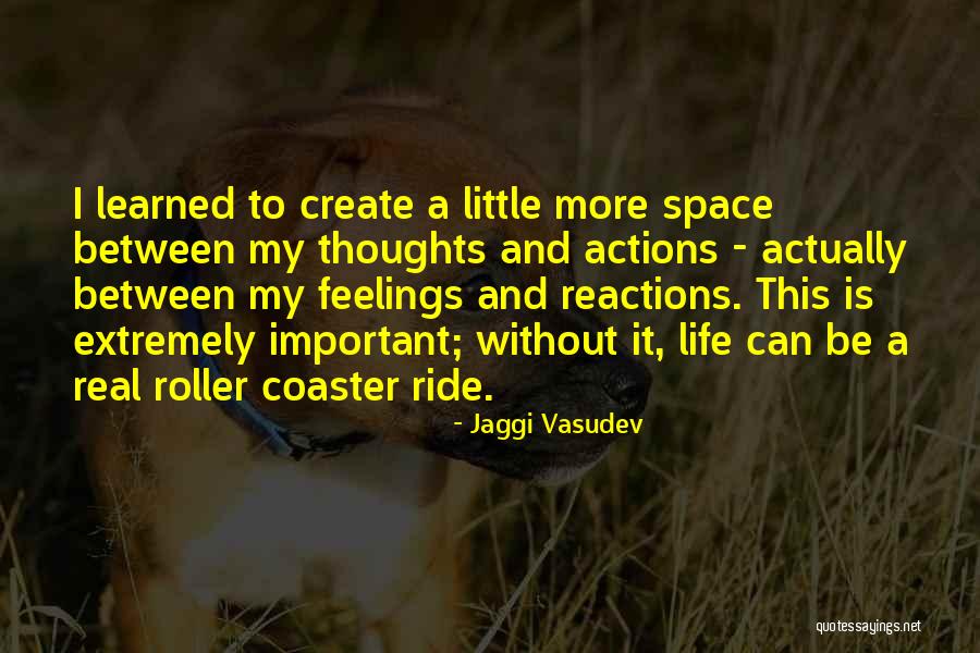 A Roller Coaster Life Quotes By Jaggi Vasudev