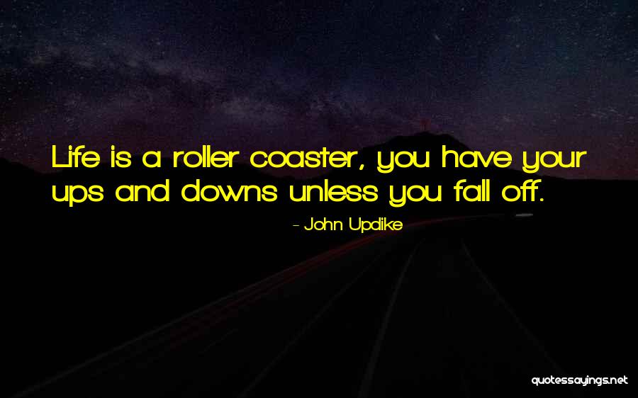 A Roller Coaster Life Quotes By John Updike