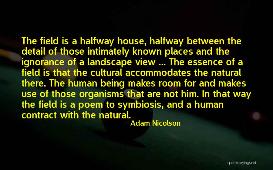 A Room With A View Quotes By Adam Nicolson A Room With A View Quotes By Adam Nicolson