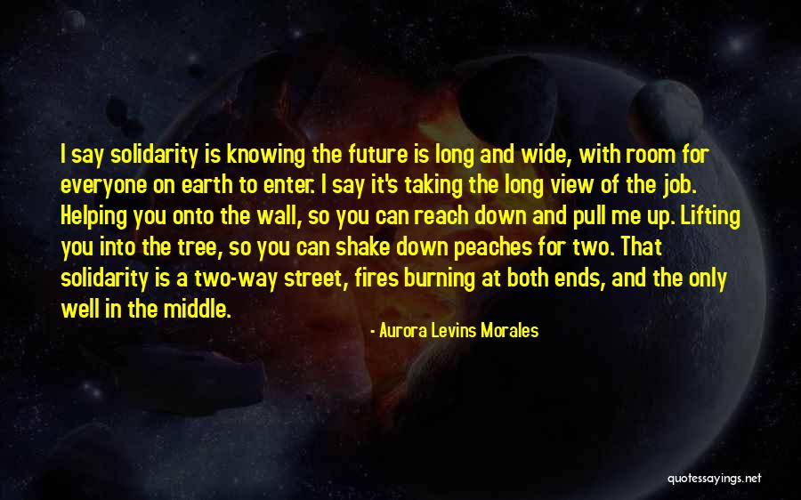 A Room With A View Quotes By Aurora Levins Morales A Room With A View Quotes By Aurora Levins Morales