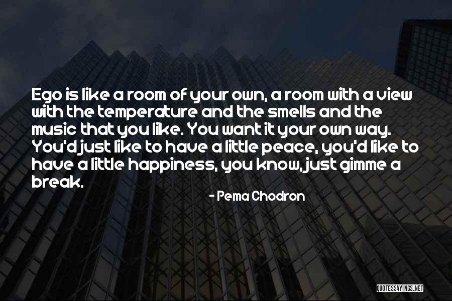 A Room With A View Quotes By Pema Chodron A Room With A View Quotes By Pema Chodron