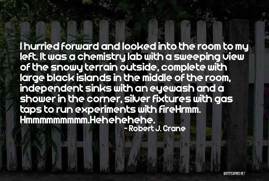 A Room With A View Quotes By Robert J. Crane A Room With A View Quotes By Robert J. Crane