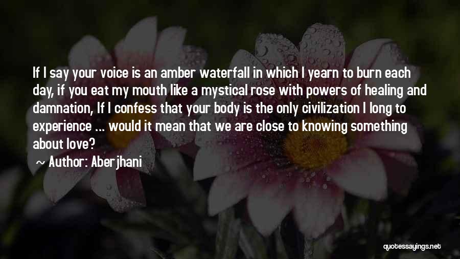 A Rose A Day Quotes By Aberjhani