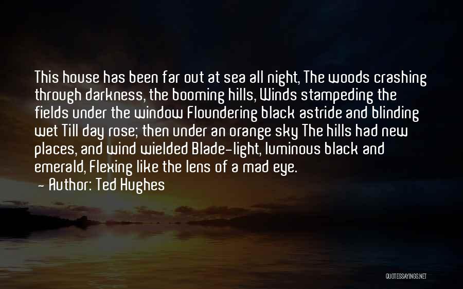 A Rose A Day Quotes By Ted Hughes