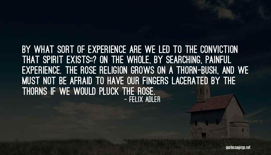 A Rose And Its Thorns Quotes By Felix Adler A Rose And Its Thorns Quotes By Felix Adler