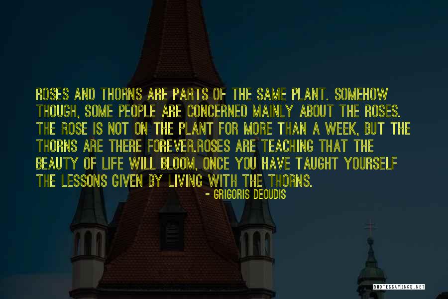 A Rose And Its Thorns Quotes By Grigoris Deoudis A Rose And Its Thorns Quotes By Grigoris Deoudis