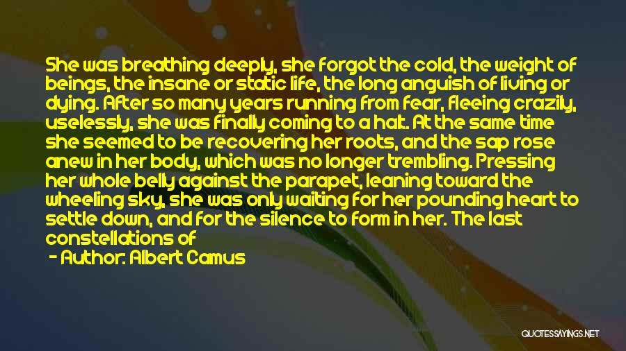 A Rose And Life Quotes By Albert Camus