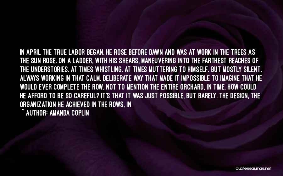 A Rose And Life Quotes By Amanda Coplin