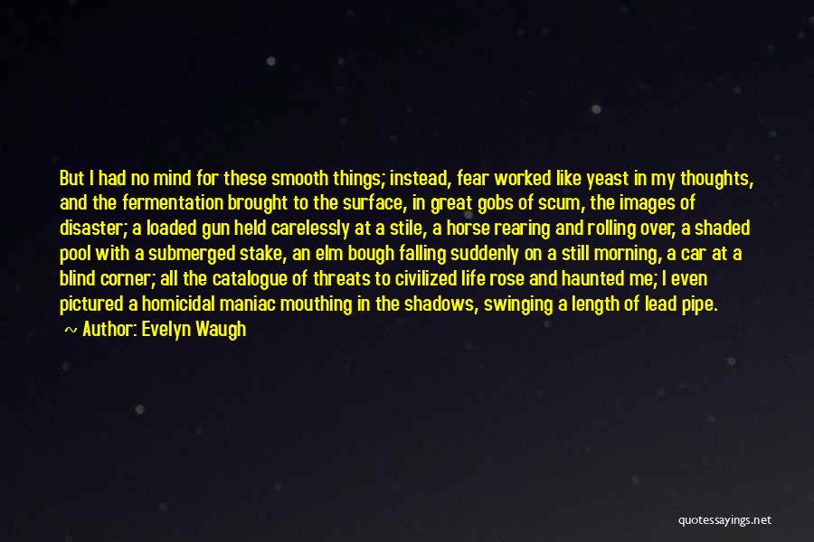 A Rose And Life Quotes By Evelyn Waugh