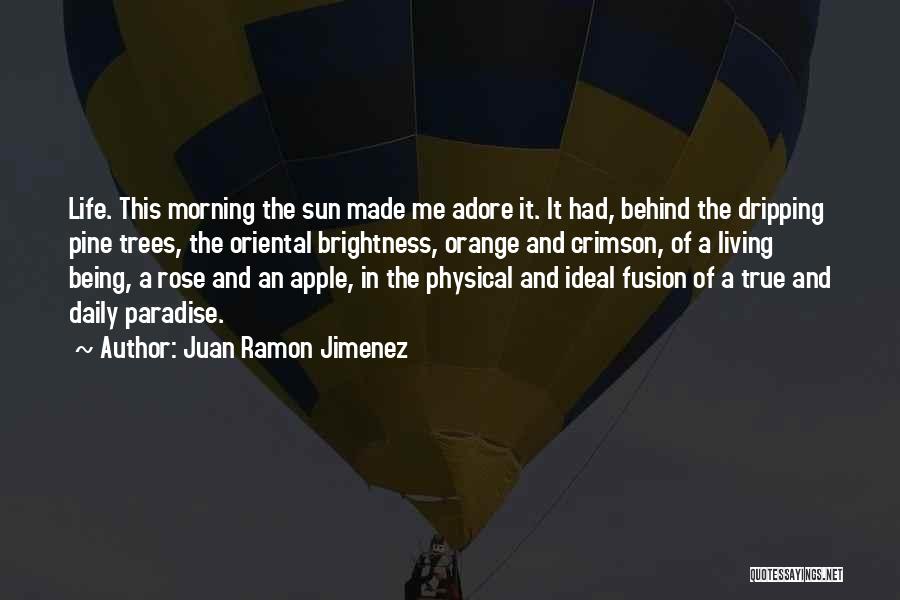 A Rose And Life Quotes By Juan Ramon Jimenez