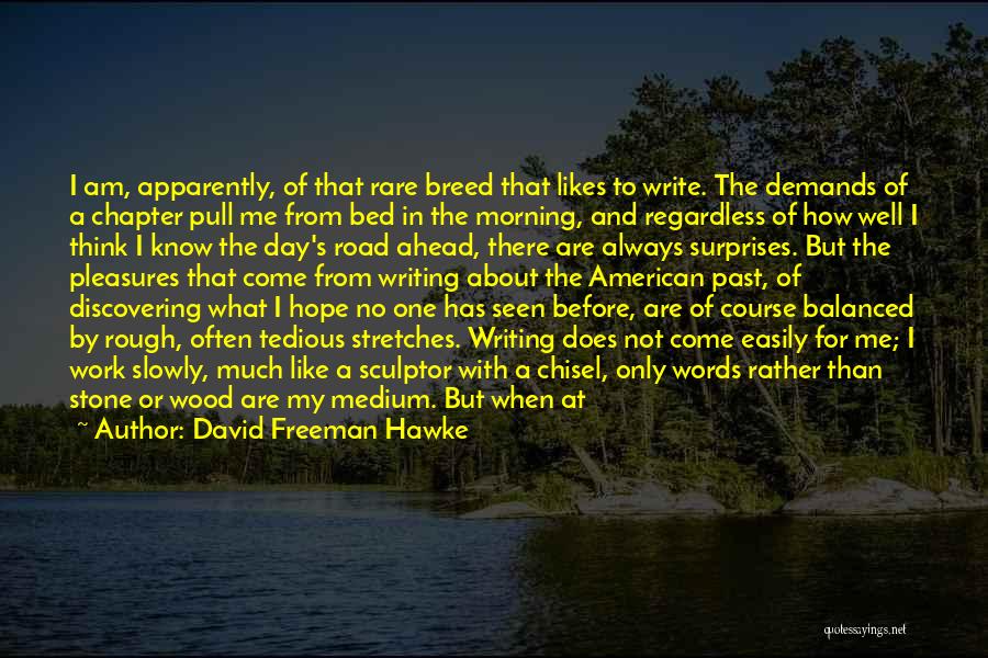 A Rough Day Quotes By David Freeman Hawke