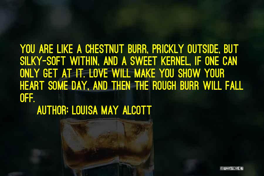 A Rough Day Quotes By Louisa May Alcott