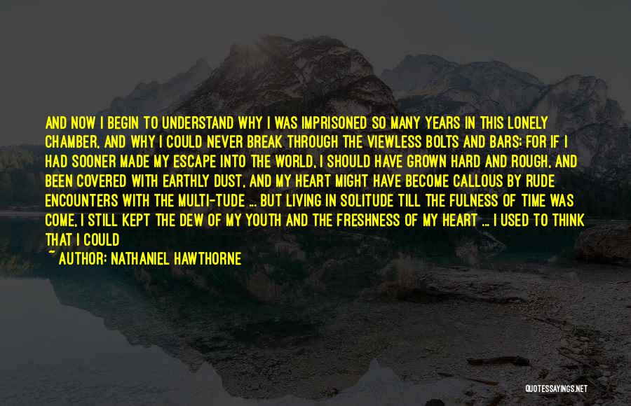 A Rough Life Quotes By Nathaniel Hawthorne