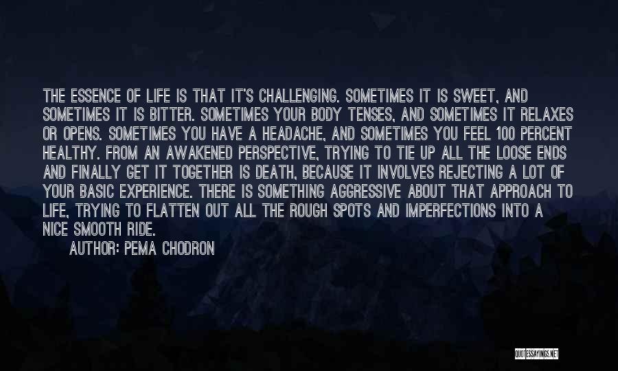 A Rough Life Quotes By Pema Chodron