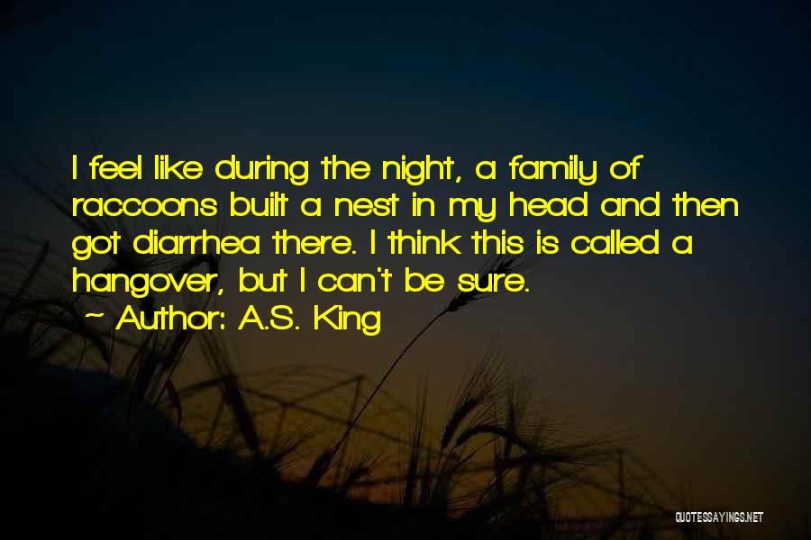 A.S. King Quotes 1577082
