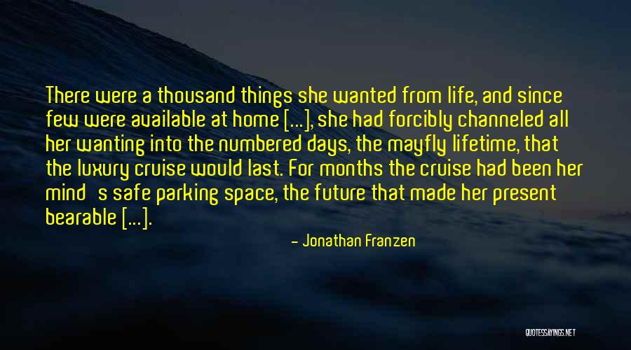 A Safe Home Quotes By Jonathan Franzen