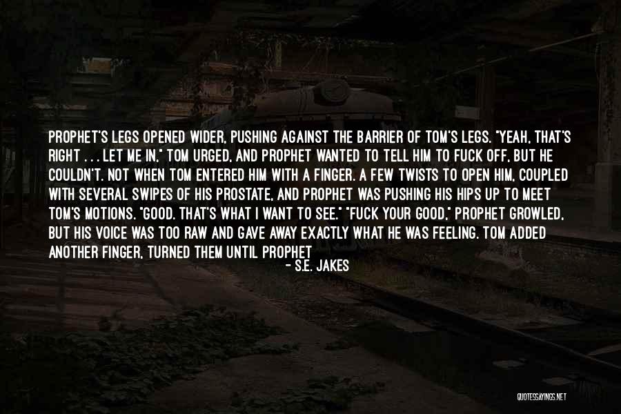 A Safe Home Quotes By S.E. Jakes A Safe Home Quotes By S.E. Jakes
