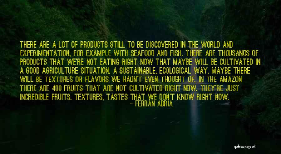A Seafood Quotes By Ferran Adria A Seafood Quotes By Ferran Adria