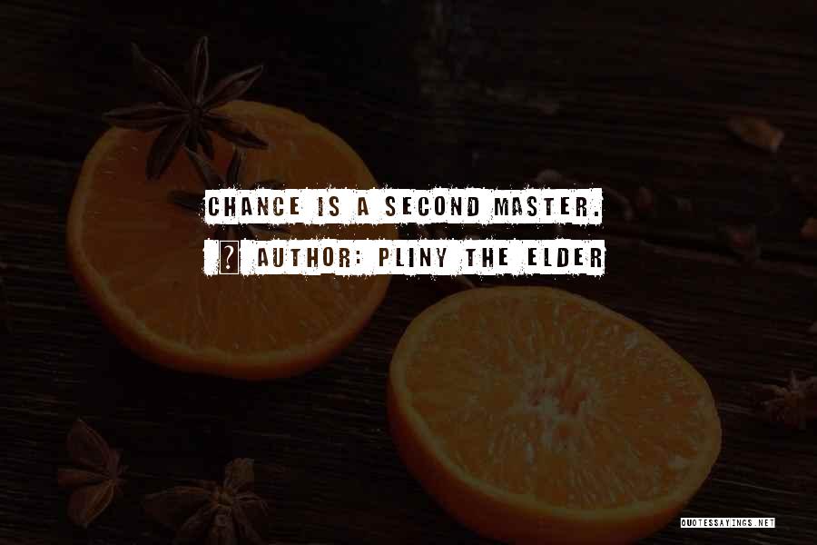 A Second Quotes By Pliny The Elder