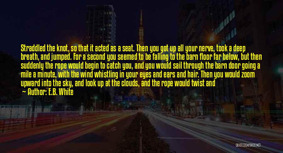 A Second Wind Quotes By E.B. White