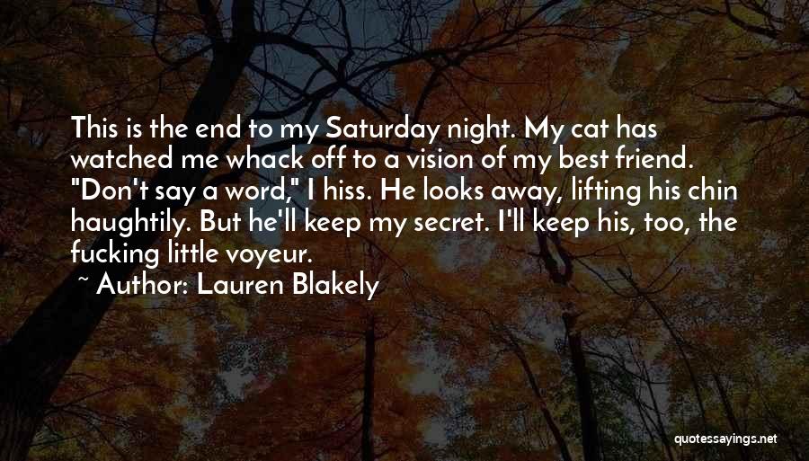 A Secret Friend Quotes By Lauren Blakely