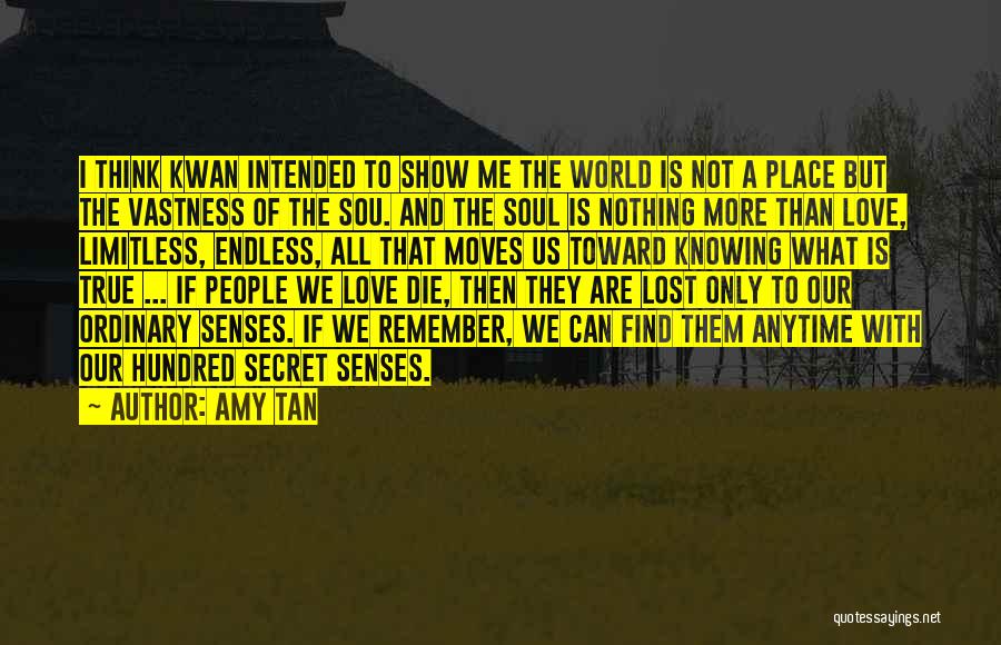 A Secret Love Quotes By Amy Tan