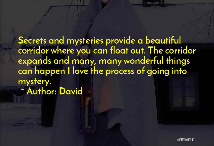 A Secret Love Quotes By David